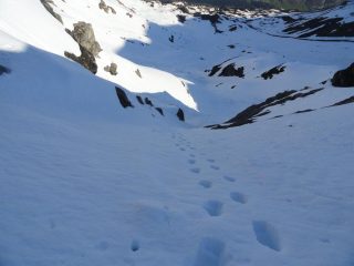 canale di salita, agevole in salita con sci a spalle