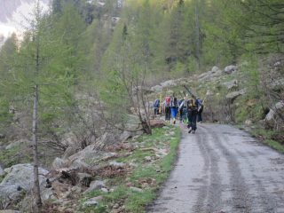 In cammino