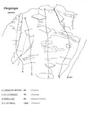 PIERGIORGIO LATO SX