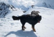 Pepe in cima ! 