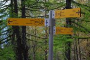 Sul culmine del costone, l’arrivo sul sentiero 20b proveniente da Baulin.