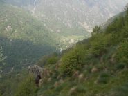 Tallorno da quota 1600m circa