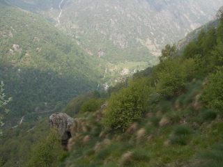 Tallorno da quota 1600m circa