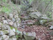 mulattiera verso Tissone