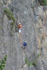 allegra cordata alla ns dx