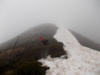 ultimi nevai 