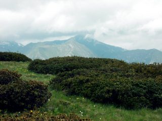 vista sul mondolè