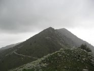 La dorsale fino al Rastcias