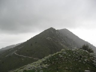La dorsale fino al Rastcias