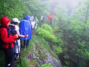 tutti in fila sotto la pioggia