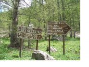 Chiare e nette indicazioni..