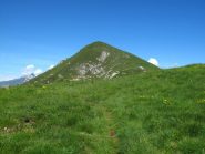 I verdissimi pratoni prima dell'impennata finale