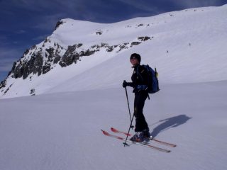 IL Collerin