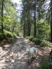 la bella sterrata verso la croce