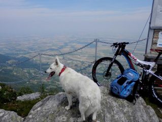 sguardo al panorama
