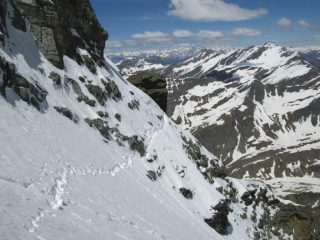 caniscella