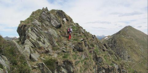 Verso lo Zeda