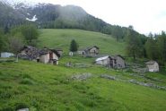 alpe moula