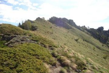 cresta moula
