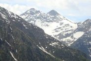 dama di challange da Cleve di moula