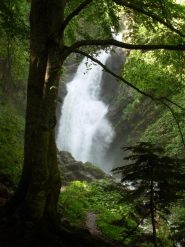 prima cascata, accanto al gias fontana