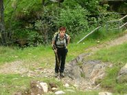 aia le formiche rosse