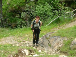 aia le formiche rosse