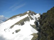 poco oltre il colletto