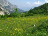 I prati a Neraissa Superiore