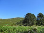 Massa alla Quata da Piane del Canale