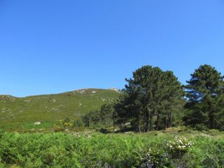 Massa alla Quata da Piane del Canale