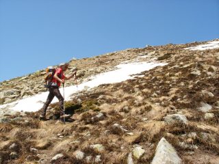 quasi in cima!!