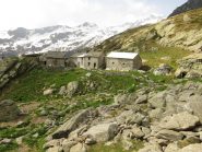 Alpi Blucchina