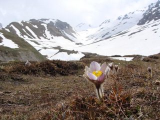 di nuovo sci in spalla per la discesa