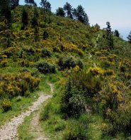 discesa divertentissima fra le ginestre