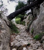 la via di fuga degli ebrei