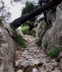 la via di fuga degli ebrei