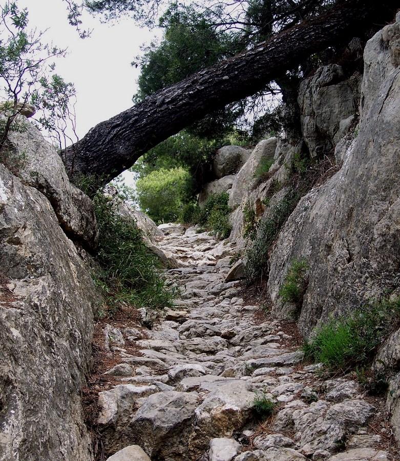 la via di fuga degli ebrei