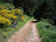 la bella sterrata nel versante francese dopo il sentiero balcone