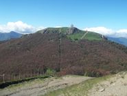maggiorasca