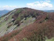 ciapaliscia dal roncalla