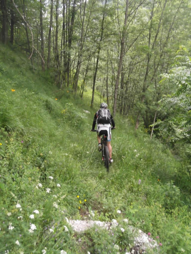 tratto Neirone-Campomolino facile ma un po troppo vegetale! 