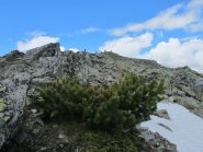L'arrivo in cima
