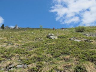 Il pendio a monte della conca q. 2250