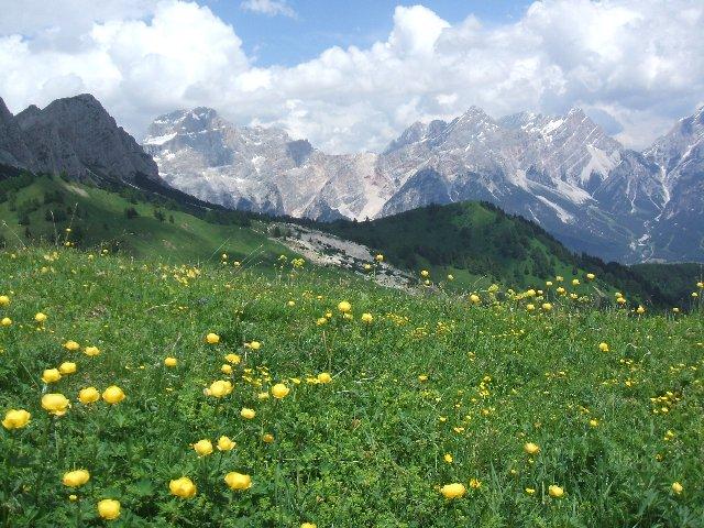 Verso Sorapiss, inizio Marmarole e F:lla Piccola