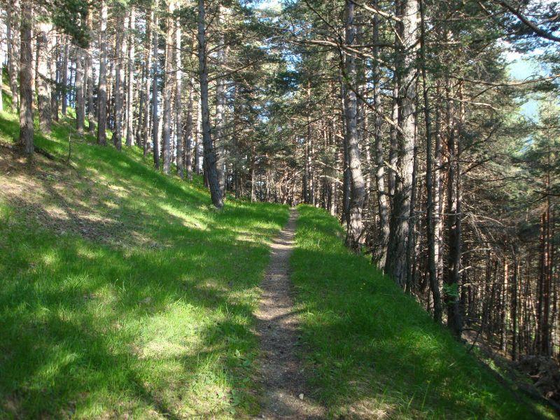 Sentiero per Moriglione