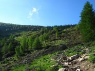 Quasi al Passo Garlenda