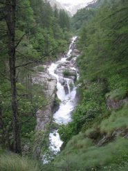 L'irruenza del Torrente Forzo