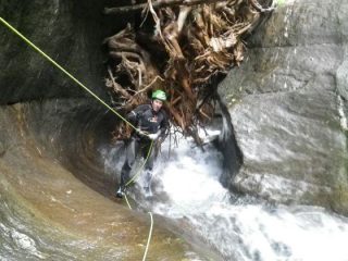 La radiciona mastodontica ci vorrà del gran lavoro per aprire un varco