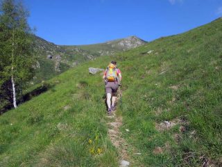usciti dal bosco si vede la punta